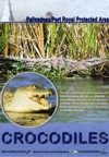 Palisadoes/Port Royal Protected Area - Crocodiles